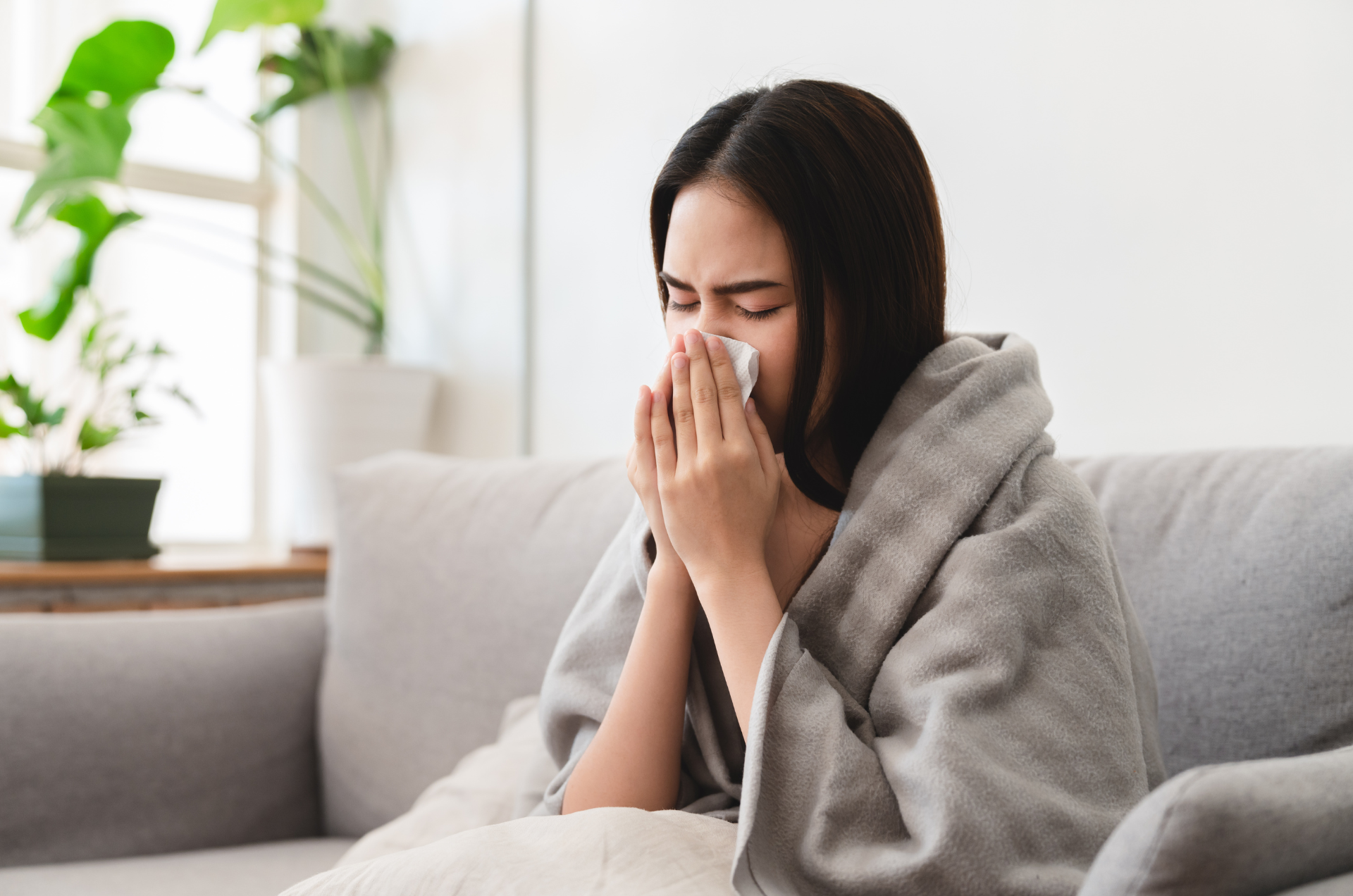 A coqueluche, também conhecida como tosse comprida ou pertussis, é uma infecção respiratória altamente contagiosa causada pela bactéria Bordetella pertussis. Apesar de ser uma doença controlável com a vacinação, a coqueluche ainda representa um risco significativo, especialmente para bebês e pessoas com o sistema imunológico comprometido.